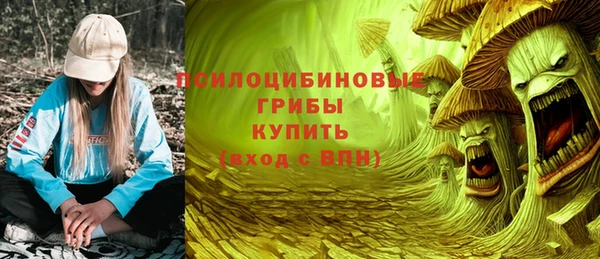 прущие крисы Абаза